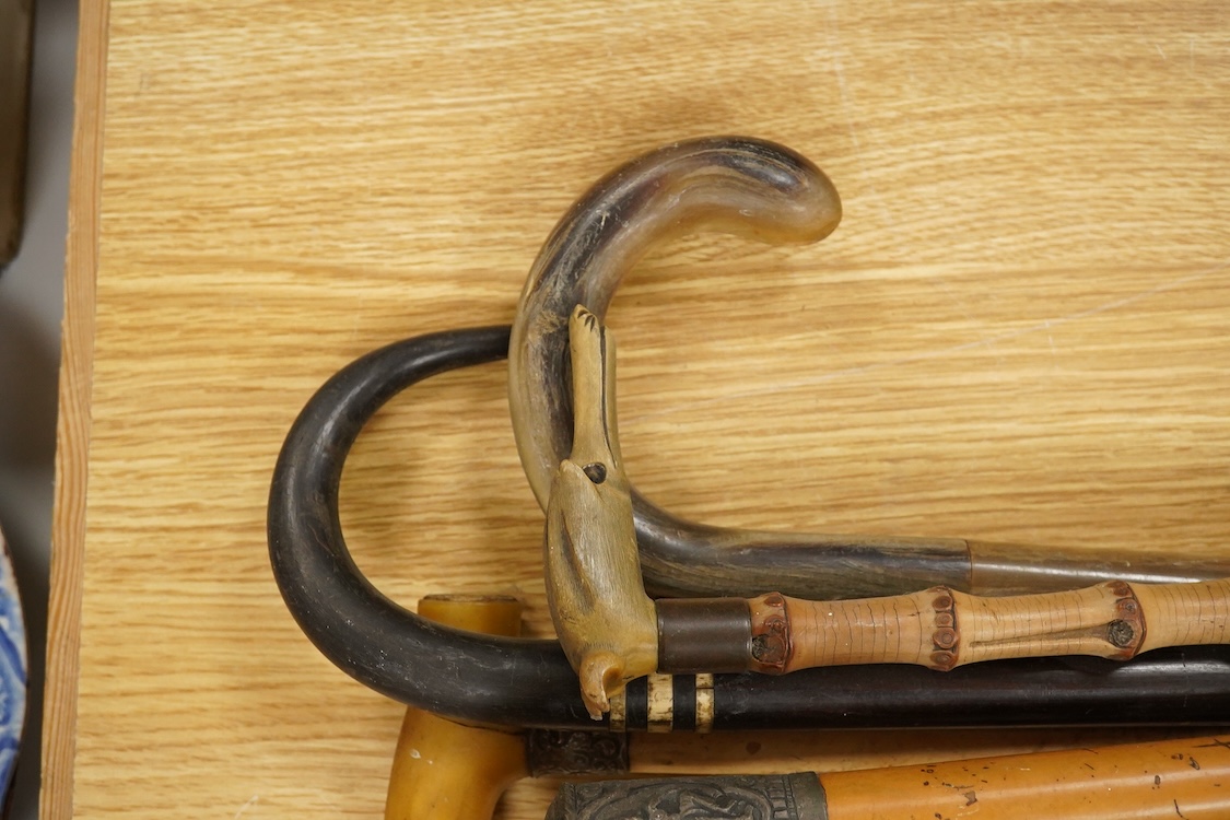 A collection of six various walking canes to include a silver mounted example and one with horn handle
